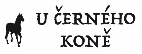 Penzion U Černého koně